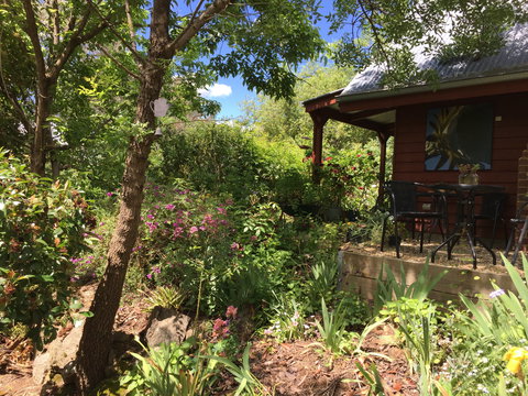 Artscape Cottage Beechworth - Great Ocean Road Tourism 2