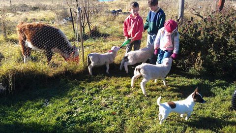 Dairy Park Farm Stay Bed And Breakfast - Great Ocean Road Tourism 2