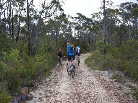 Ingar Campground - Great Ocean Road Tourism 0