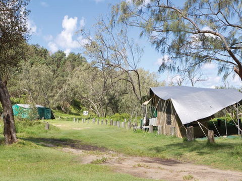 Pebbly Beach Campground - Yuraygir National Park - Great Ocean Road Tourism 0