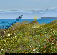 Preston Beach Front Apartment - Great Ocean Road Tourism