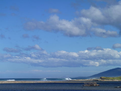 Scamander On The Beach - Great Ocean Road Tourism 1