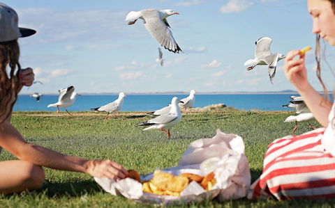 Seafarers Robe - Great Ocean Road Tourism 0