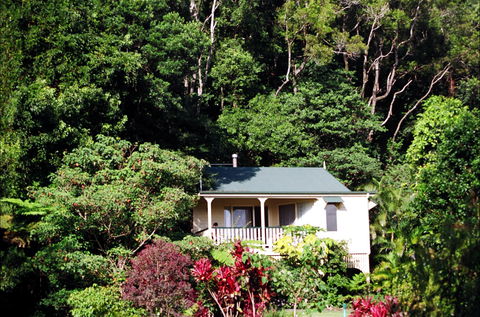 The Falls Montville - Great Ocean Road Tourism 0