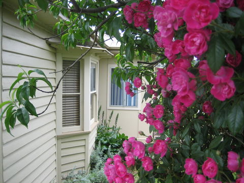 Valley Views Bed And Breakfast - Great Ocean Road Tourism 0