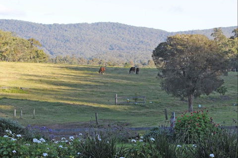 Wallaby Cottage - Great Ocean Road Tourism 0