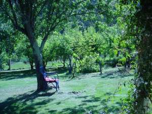 Murnong Self Contained Cottages - Great Ocean Road Tourism 3