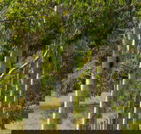 Stringybark Cottages - Great Ocean Road Tourism