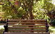 Tara House Bed And Breakfast - thumb 4