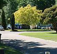 Mitchell Gardens Holiday Park - Great Ocean Road Tourism