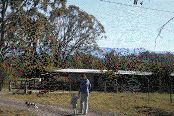 Bumblebrook Farm Motel - Great Ocean Road Tourism 0