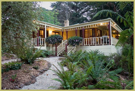 Mount Dandenong VIC Great Ocean Road Tourism