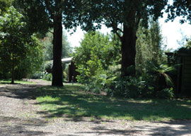 Bloomfield Cottages - Great Ocean Road Tourism 2