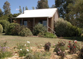 Bloomfield Cottages - Great Ocean Road Tourism 3