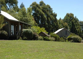 Bloomfield Cottages - Great Ocean Road Tourism 4