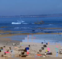 QueenscliffeTourist Park - Great Ocean Road Tourism