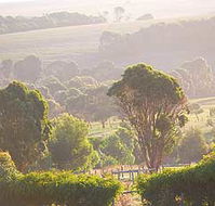 Mackas Farm - Great Ocean Road Tourism