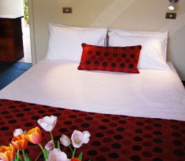Parade Inn - Great Ocean Road Tourism 2