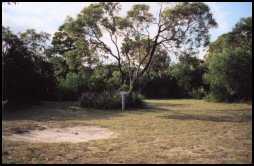 Kywong Caravan Park - Great Ocean Road Tourism 5