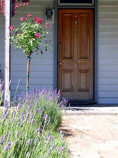 Airleigh - Rose Cottage - Great Ocean Road Tourism 2