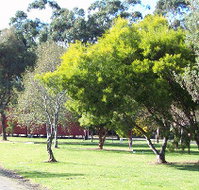 Otways Tourist Park - Great Ocean Road Tourism