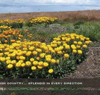 Alpine View Apartments - Great Ocean Road Tourism
