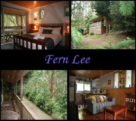 Hill N Dale Farm Cottages - Great Ocean Road Tourism 4