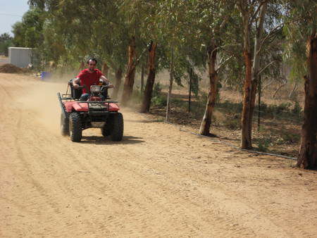 Cabarita Lodge - Great Ocean Road Tourism 5
