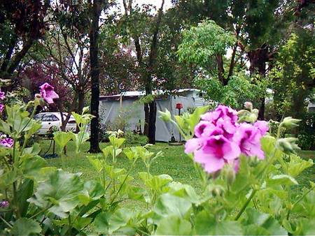Beach Park Tourist Caravan Park - Great Ocean Road Tourism 2