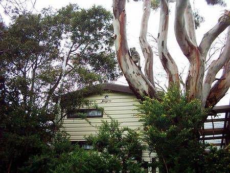 Beach Park Tourist Caravan Park - Great Ocean Road Tourism 3