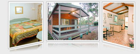 A Maze N Things Holiday Park - Great Ocean Road Tourism 5