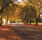 La Trobe at Beechworth - Great Ocean Road Tourism