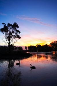 WorldMark Resort Ballarat - Great Ocean Road Tourism 5
