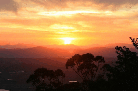 Avocado Sunset - Great Ocean Road Tourism