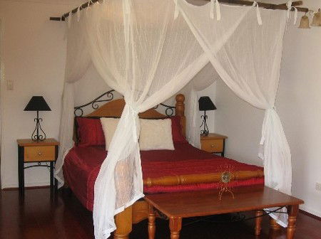 Attunga Park Country Retreat - Great Ocean Road Tourism 4