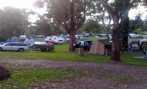 Bluegums Riverside Holiday Park - Great Ocean Road Tourism 2