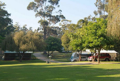 A Wangralea Caravan Park - Great Ocean Road Tourism 3