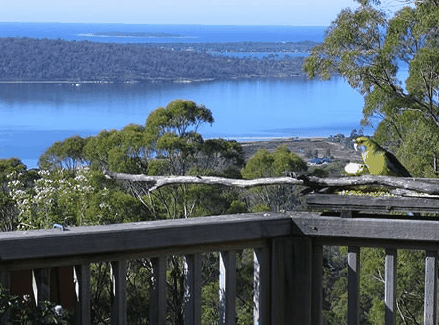 Bed in the Treetops - Great Ocean Road Tourism