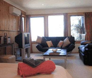 Bed In The Treetops - Great Ocean Road Tourism 3