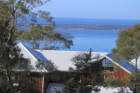 Bed In The Treetops - Great Ocean Road Tourism 4