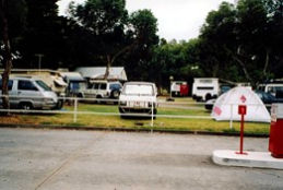 Windsor Gardens Caravan Park - Great Ocean Road Tourism 0