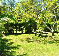 Wooli Caravan Park - Great Ocean Road Tourism
