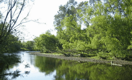 Ribbonwood Cottages - Great Ocean Road Tourism