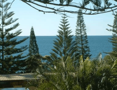 Next Seabreeze Beach Hotel - Great Ocean Road Tourism 2