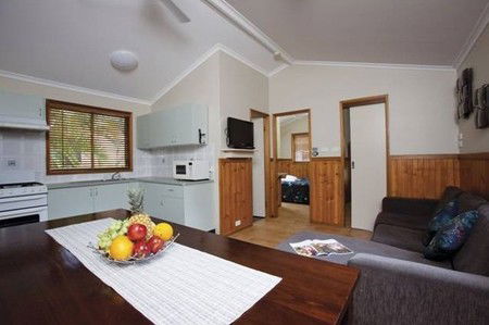 Blue Dolphin Resort & Holiday Park - Great Ocean Road Tourism 3