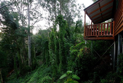 Ravensbourne Forest Chalets - Great Ocean Road Tourism 1