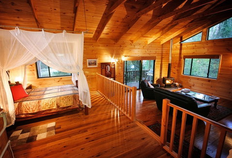 Ravensbourne Forest Chalets - Great Ocean Road Tourism 2