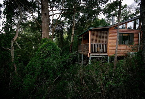 Ravensbourne Forest Chalets - Great Ocean Road Tourism 4