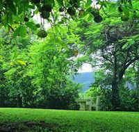 Misty Mountain Retreat - Great Ocean Road Tourism