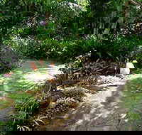Coco's Country Cottage - Great Ocean Road Tourism